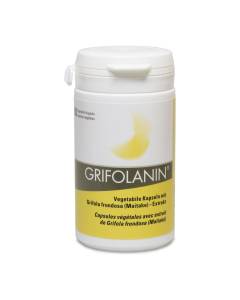 Grifolanin extrait de champignon vital caps