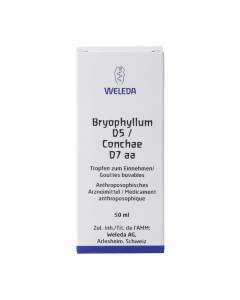 Weleda bryophyllum 5d/conch 7d aa dil 50 ml