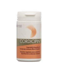 Cordicipin extrait champignons vital caps
