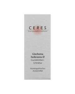 Ceres Glechoma hederacea