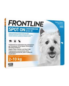Frontline spot on chien