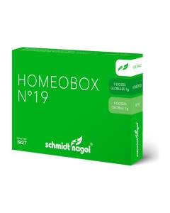 Schmidt Nagel HomeoBox Globuli