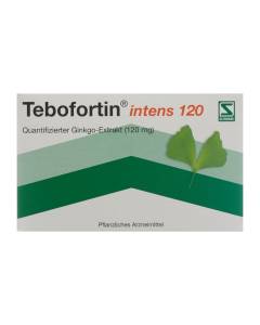 TEBOFORTIN intens 120 Filmtabl 120 mg 30 Stk