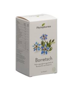 PHYTOPHARMA Borretsch Kaps 500 mg