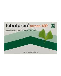 Tebofortin intens 120 cpr pell 120 mg 90 pce